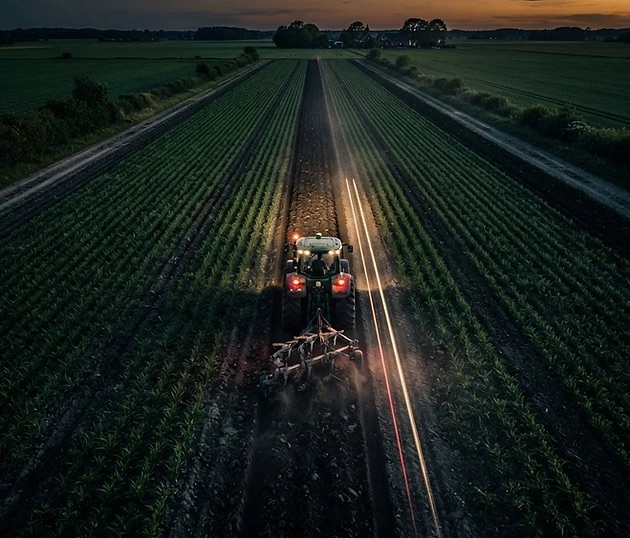 Tractor working crop rows at dusk