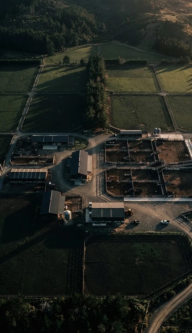 Aerial view of ranching paddocks and livestock pens